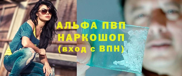 сатива Нягань