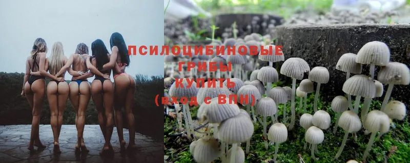 Галлюциногенные грибы MAGIC MUSHROOMS Сим