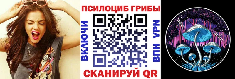 Галлюциногенные грибы Psilocybine cubensis  купить наркотики сайты  hydra ссылка  Сим 